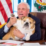 justice with Baby Dog